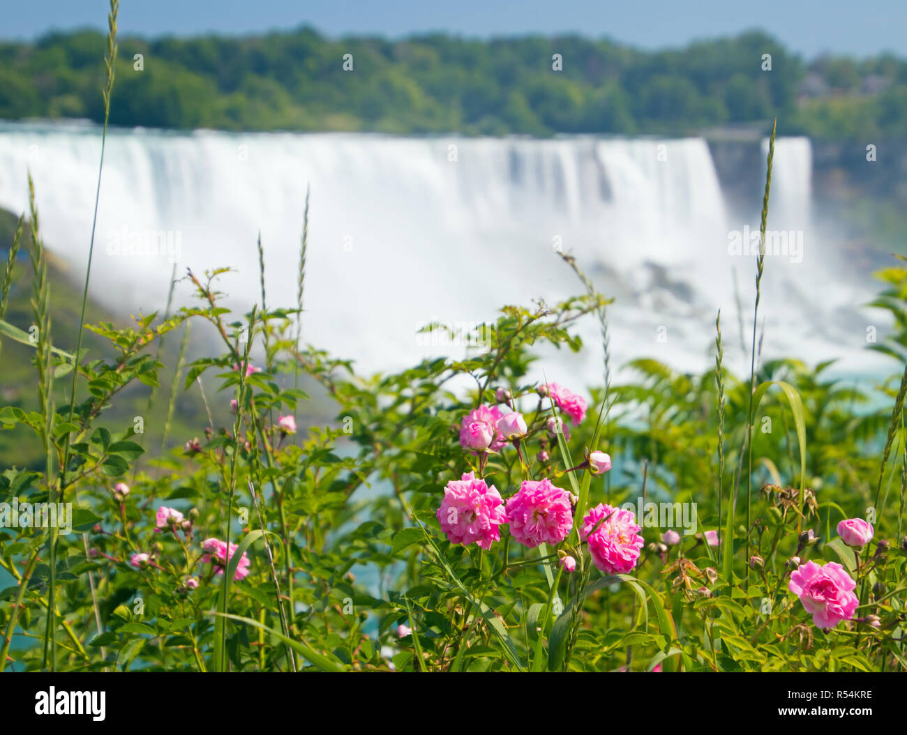 Niagara Falls aus den USA und Kanada Stockfoto