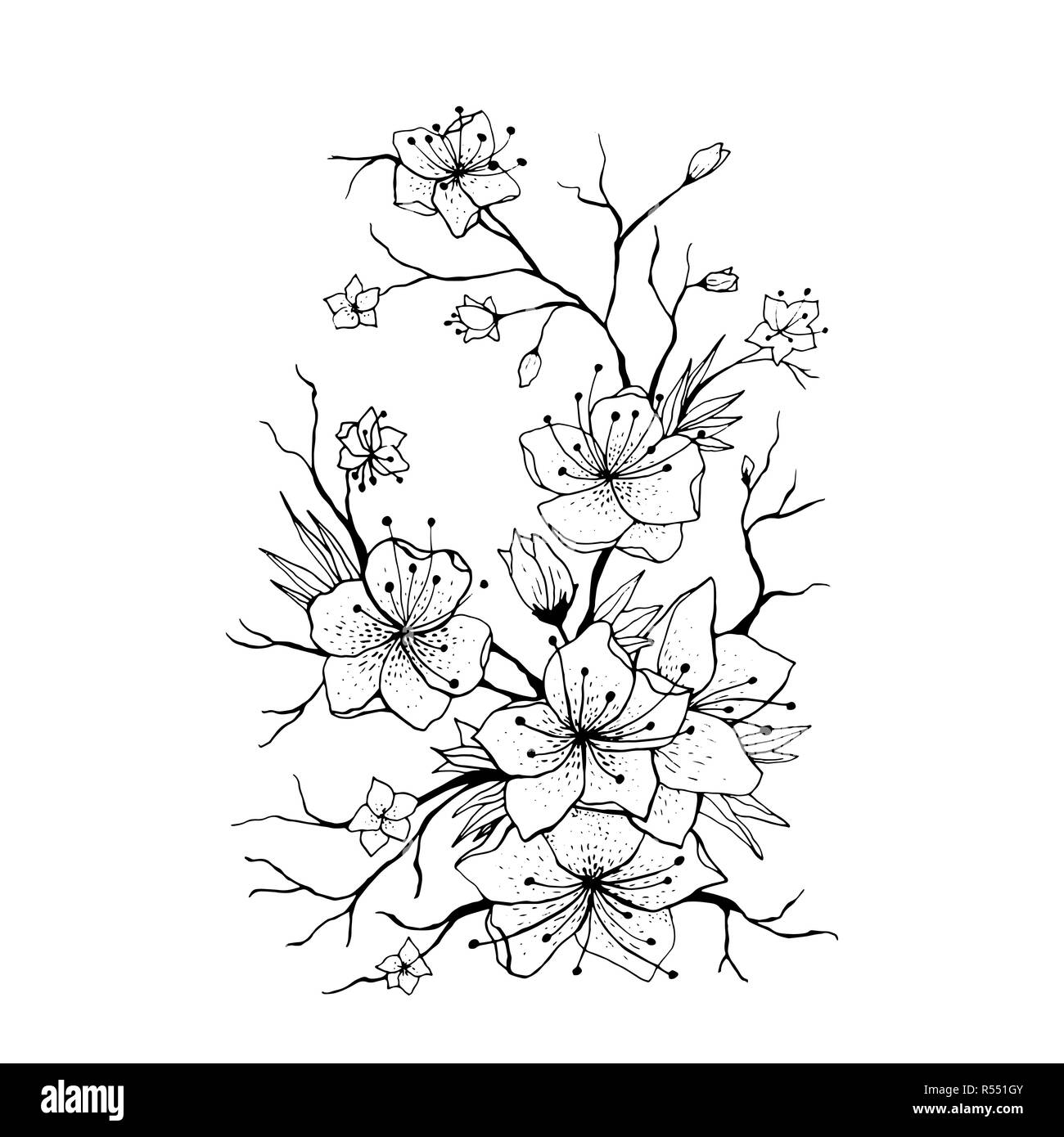 Sakura Zweig handgezeichnete Illustrationen. Japanische Kirsche Baum Zweig. Rosa Blüten und Knospen auf weißem Hintergrund. Sakura Zweig mit Cherry Blossom. Poster, logo Blumen Design Element. Isolierte Vektor Stock Vektor