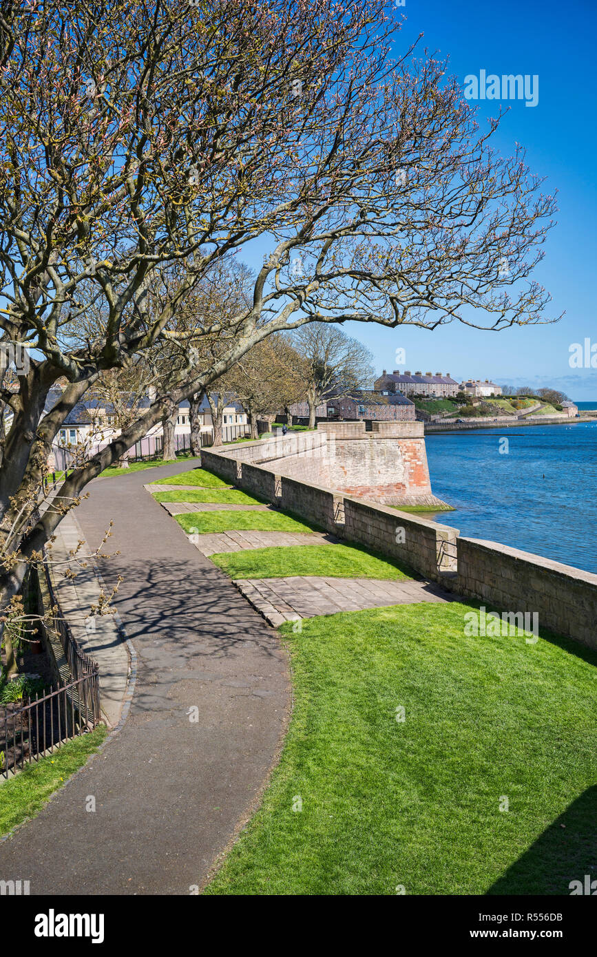 Berwick upon Tweed Wände, Wälle, Spaziergang, Fluss Tweed, North Northumberland, England, Großbritannien Stockfoto