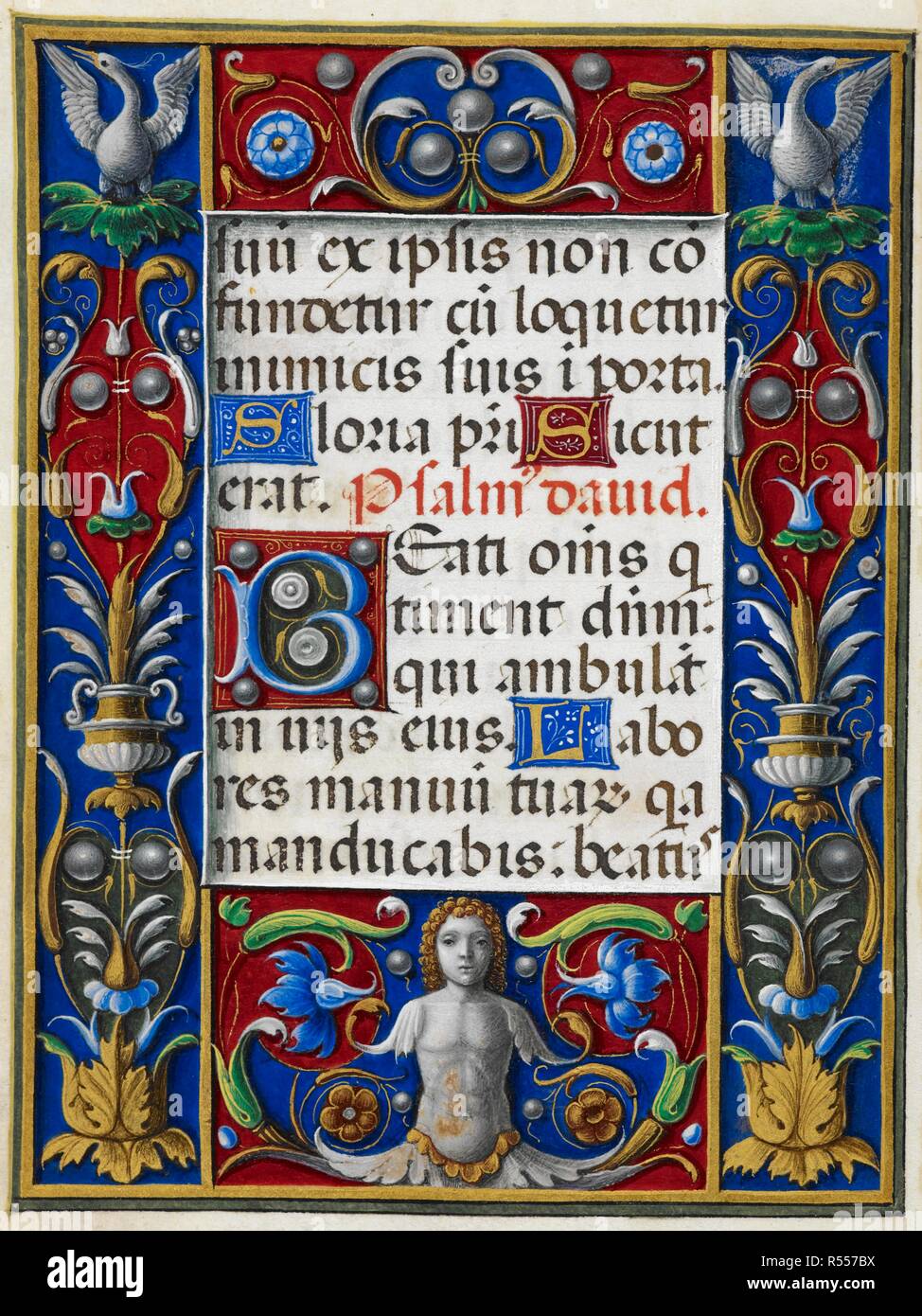 Muzio attendolo meister Fotos und Bildmaterial in hoher Auflösung Alamy