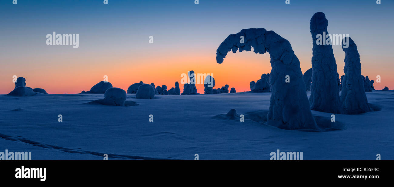 Ein breites Panorama kurz nach Sonnenuntergang mit einem tiefen Orange glühen in den Himmel auf dem Höhepunkt im Riistituntie National Park in der Nähe von Ruka, mit einem breiten expans Stockfoto