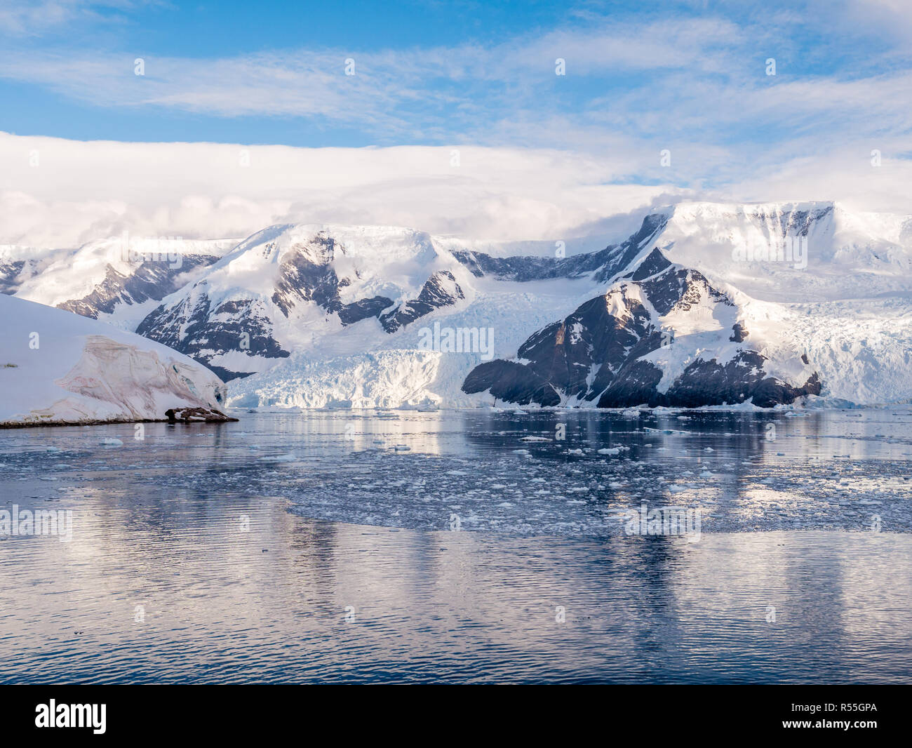 Floating brash Eis und Gletscher von Lester Cove und Neko Harbour, Andvord Bay, Arctowski Halbinsel, auf dem Festland der Antarktis Stockfoto