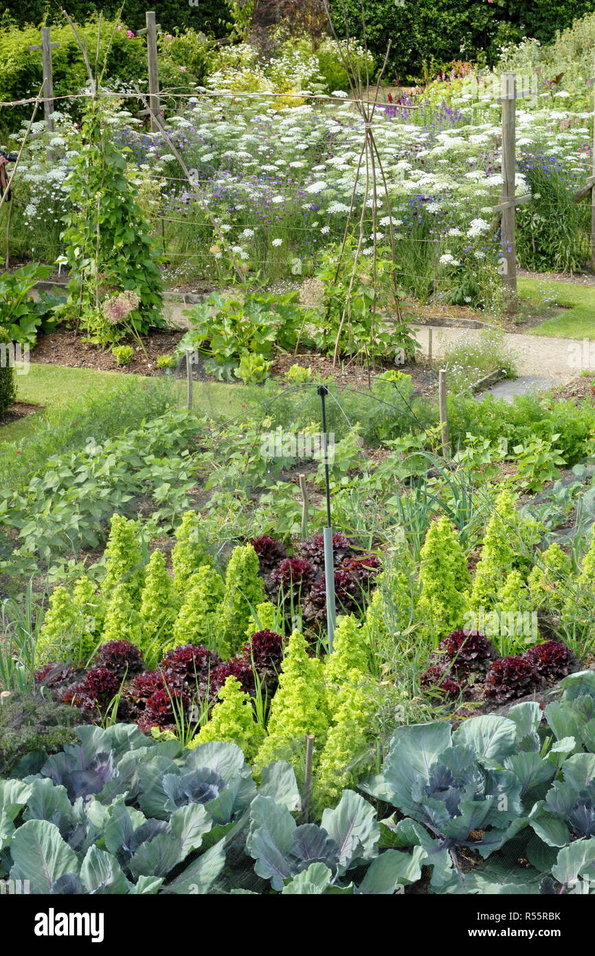 Einige der Gärten im Easton Walled Gardens, Easton in der Nähe von Grantham,. Lincolnshire, Großbritannien. Gemüsebeete und schneiden Garten abgebildet ist. Stockfoto