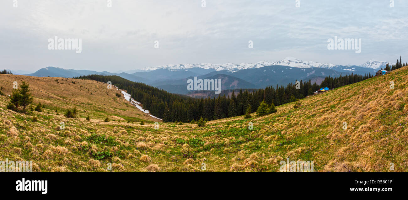 Der frühe Frühling Karpaten plateau Landschaft, Ukraine, Europa. Stockfoto