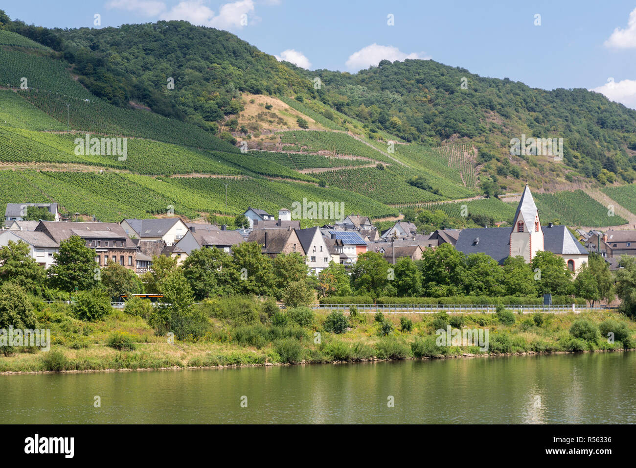 Müden, Deutschland. Weinberge auf steilen Hängen hinter der Stadt. Stockfoto
