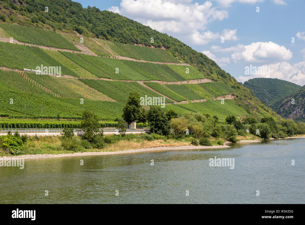 Deutschland. Weinberge auf steilen Hügeln entlang der Mosel in der Nähe von Müden. Stockfoto