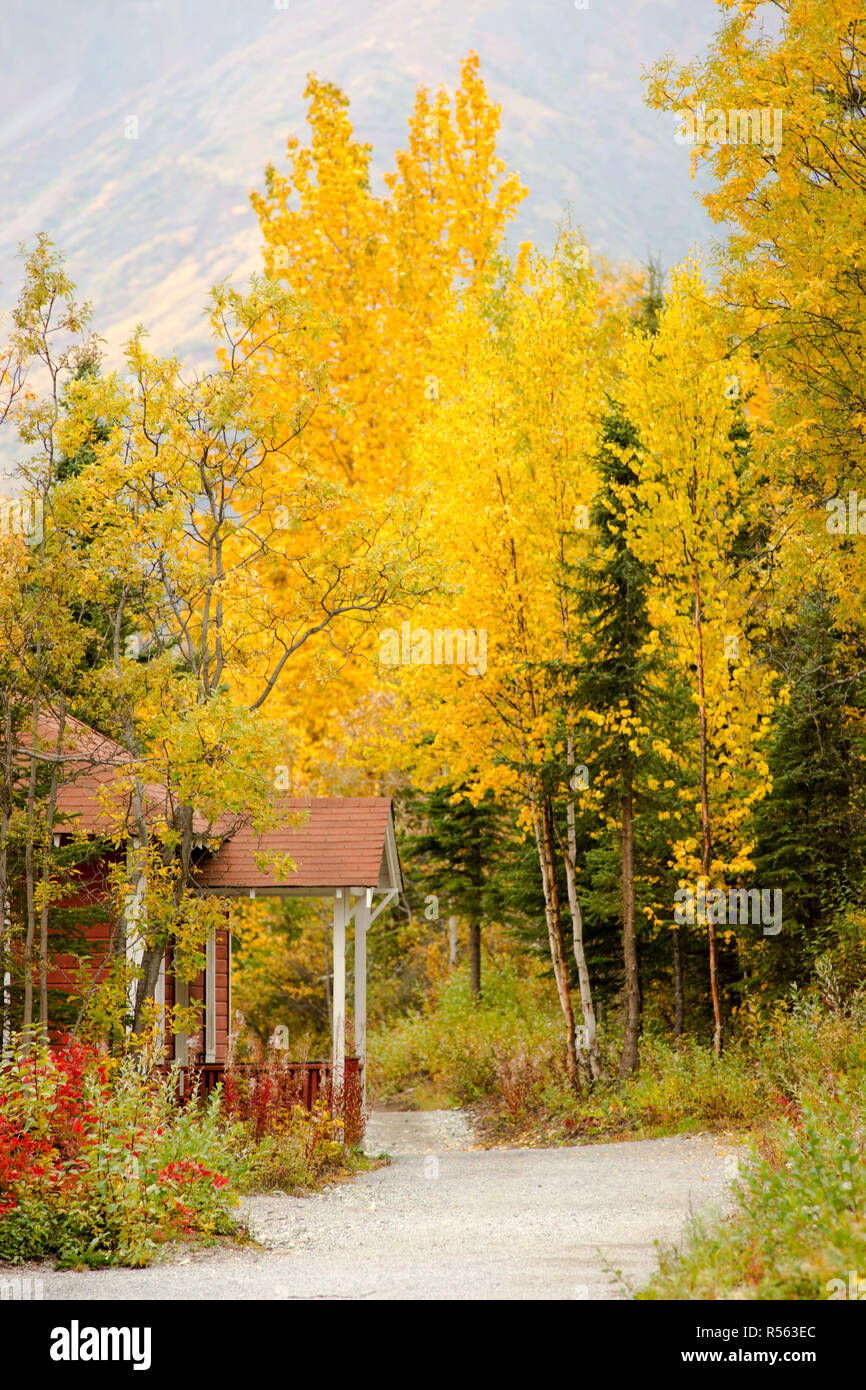 Rot Portal Gelbe Blätter Herbst Herbst Jahreszeit Alaska Stockfoto