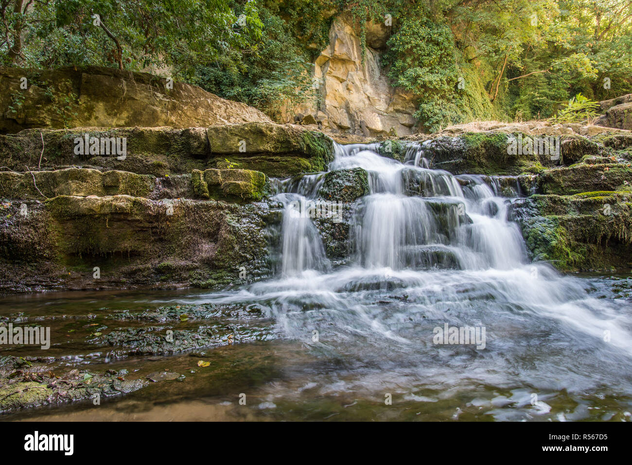 Schöne stream Wasserfällen über Pretty Green Moos bedeckt Steine Stockfoto