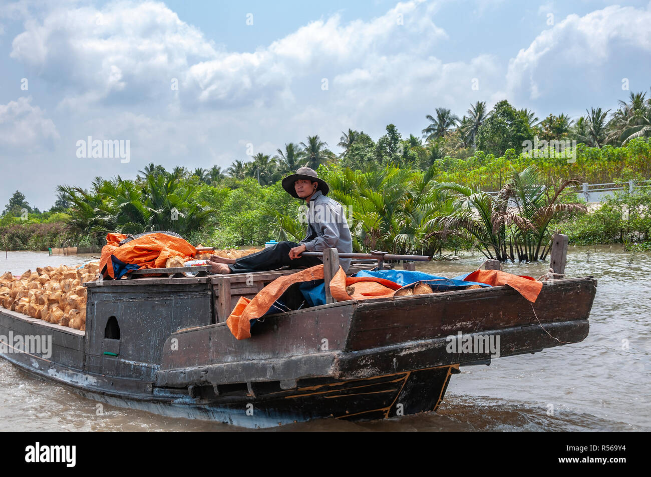 Vietnamesische Fährmann steuert seine beladene traditionellen hölzernen Bootes voller Kokosnüsse entlang der Cai Rang River, in der Provinz Can Tho, Mekong Delta, South Vietnam Stockfoto