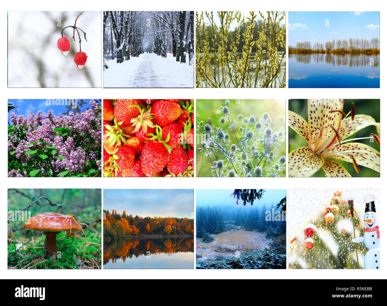 Verschiedene zwölf farbige Bilder der Natur für Kalender. Bereit Foto für den Kalender. Bilder für Kalender. Plakat für Office Stockfoto