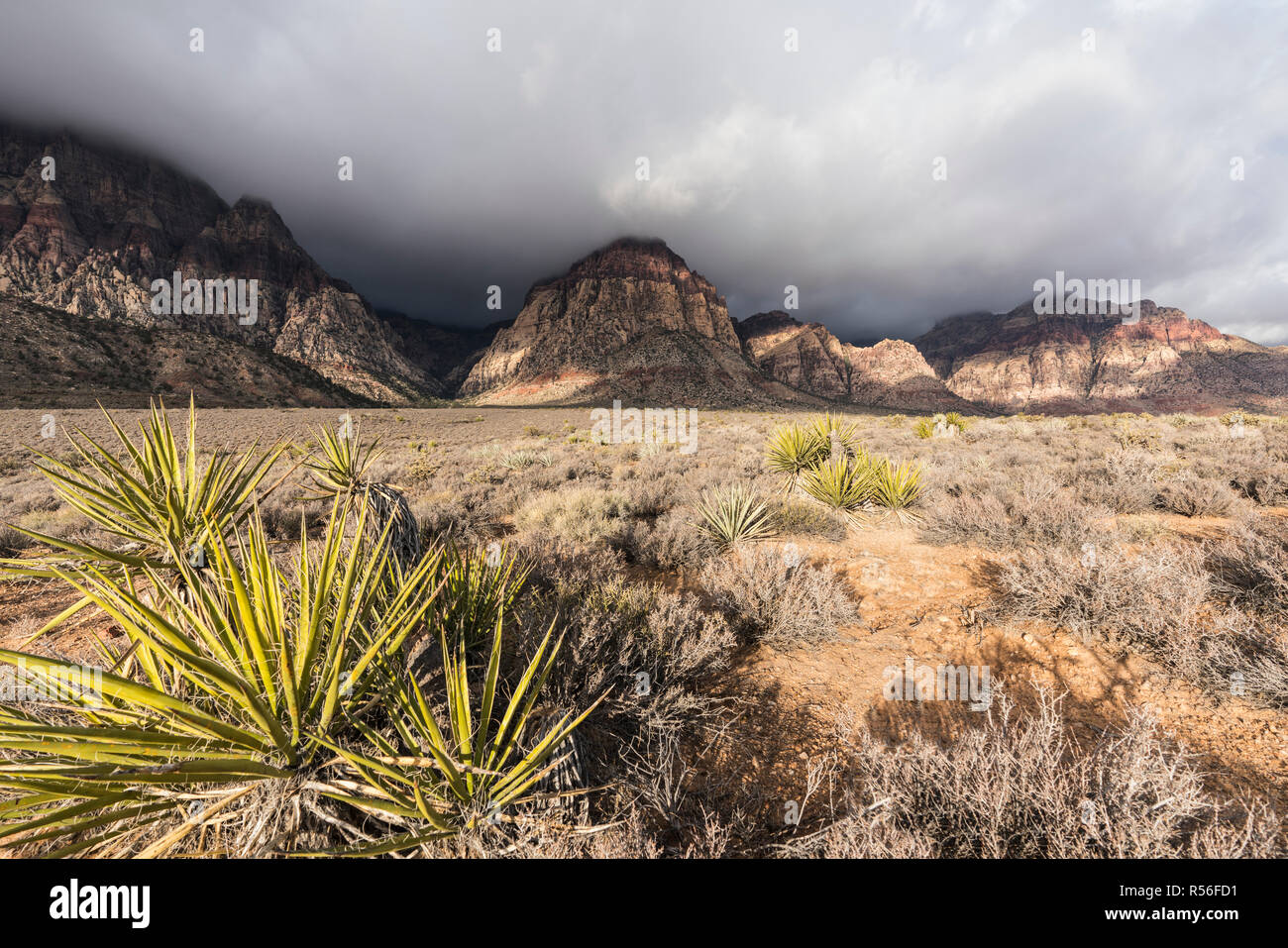 November Gewitterwolken, die sich vom Spring Mountains in der Red Rock Canyon National Conservation Area in der Nähe von Las Vegas, Nevada. Stockfoto