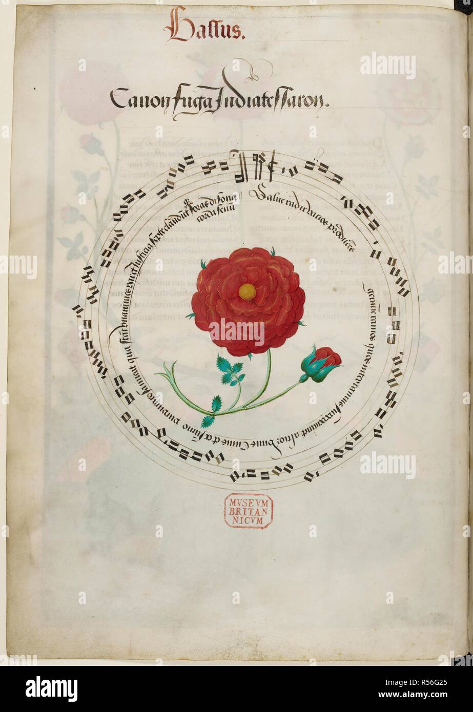 Noten für motetten gestaltet, geschrieben Musik mit verzierten Initialen und stimme Teile für einen Chor. Die gekrönte Rose: motetten für Henry VIII. . Die gekrönte Rose Motetten präsentiert König Henry VIII. England. Quelle: Royal 11E XI w.2 v. Sprache: Englisch. Stockfoto