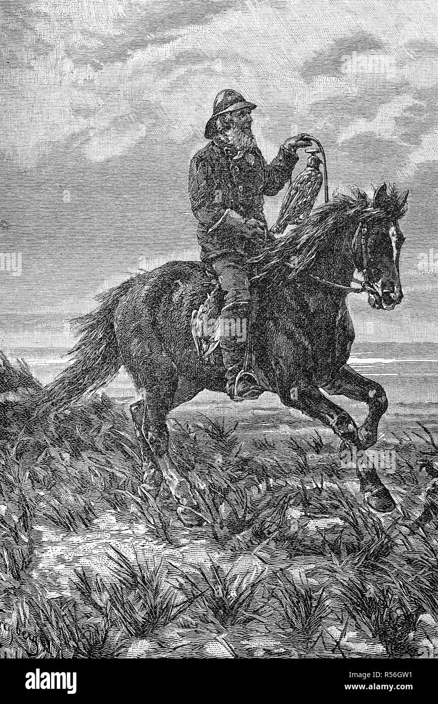 Die Jagd mit dem Falcon, Jäger zu Pferd, Insel Texel, 1880, Holzschnitt, Holland Stockfoto