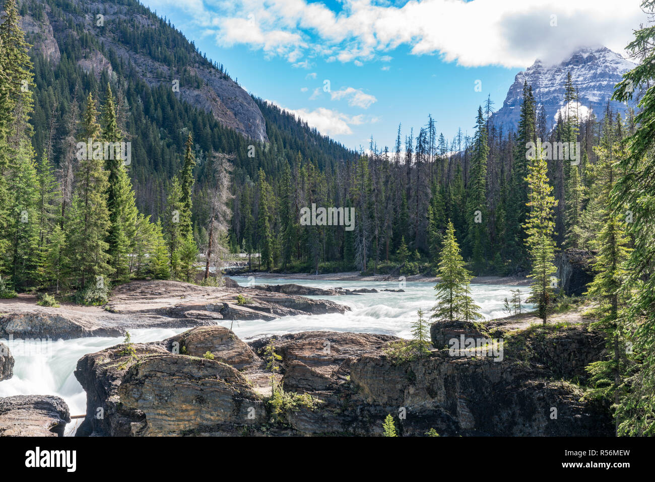 Fluss im Yoho National Park, British Columbia, Kanada Stockfoto