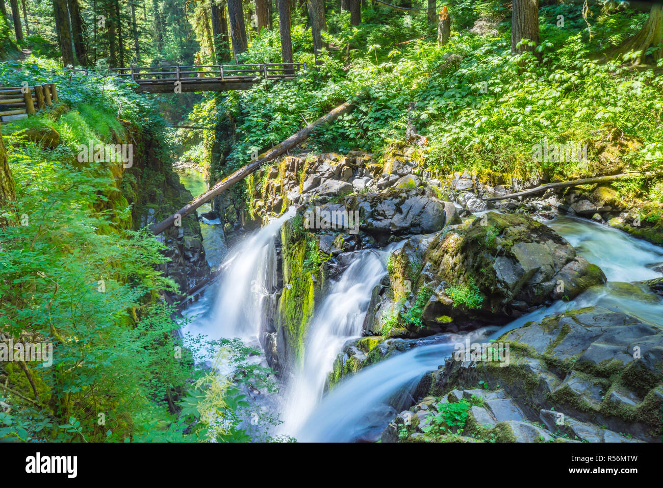 Sol Duc verliebt sich in Olympic Nationalpark, Washington Stockfoto