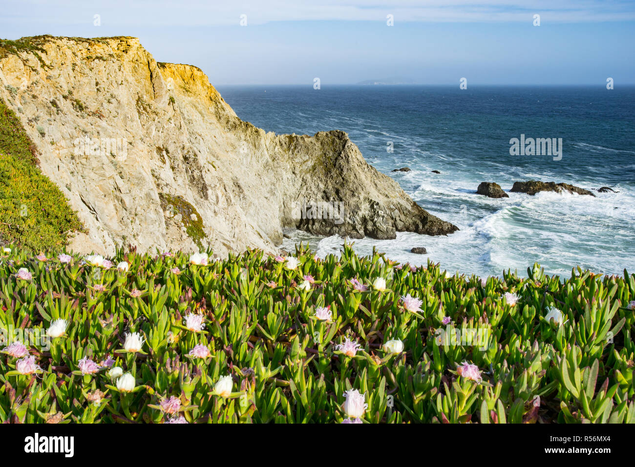 Klippen entlang Point Reyes National Seashore Stockfoto