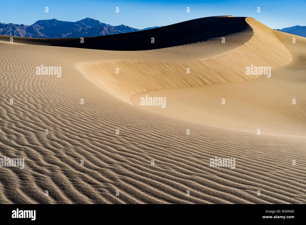 Morgen auf der Mesquite Flats Sanddünen im Death Valley National Park, Kalifornien Stockfoto