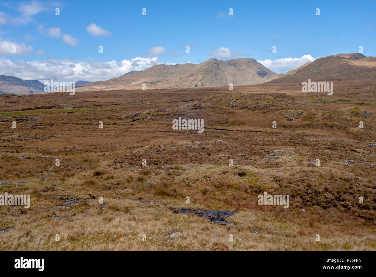 Grafschaft Galway Irland Sumpfland und Heide mit Bergen in Connemara an einem sonnigen Tag mit blauem Himmel. Stockfoto