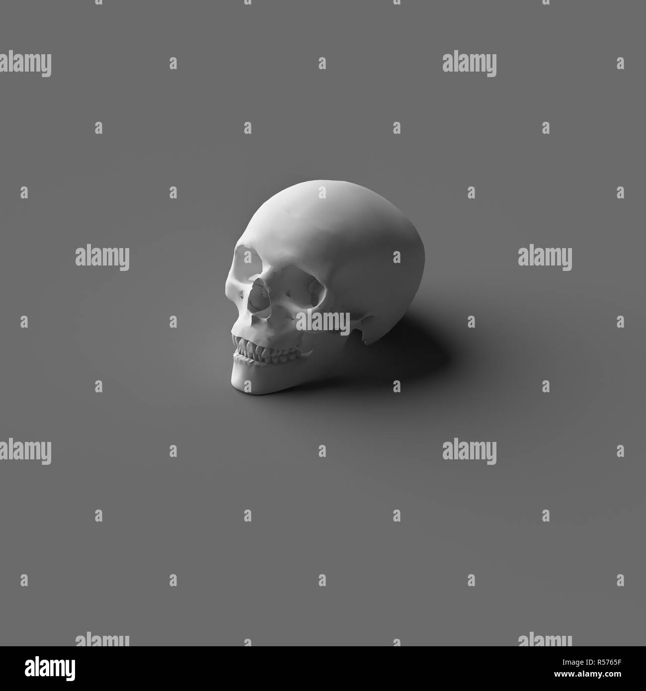 Einzelnen 3D-Rendering menschlichen Kopf Schädel Stockfoto