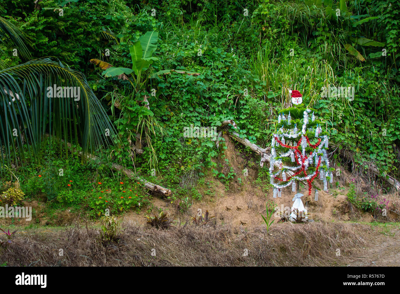 Outdoor Weihnachtsbaum an der Karibik dekoriert Stockfoto