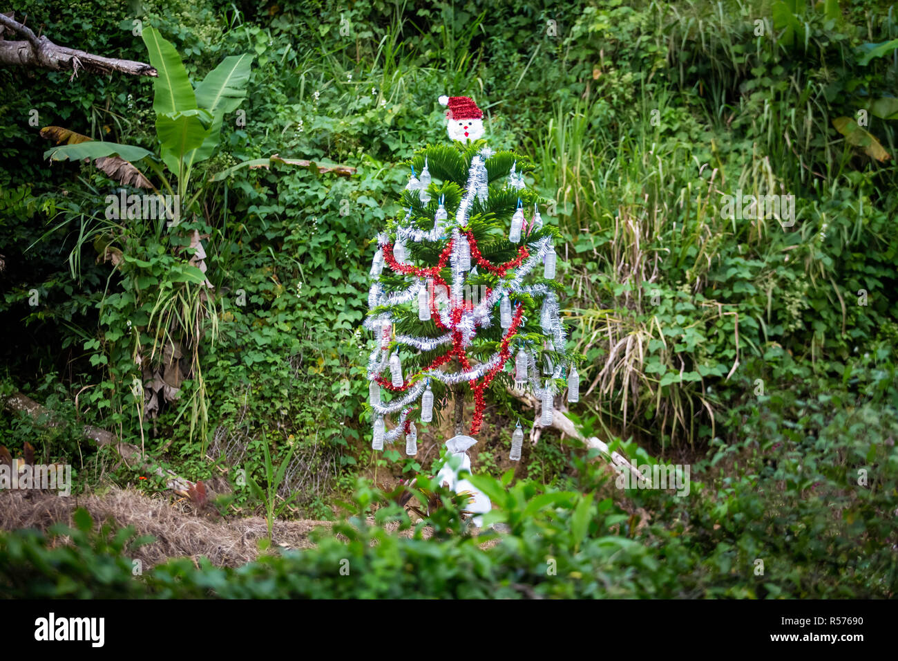 Outdoor Weihnachtsbaum an der Karibik dekoriert Stockfoto