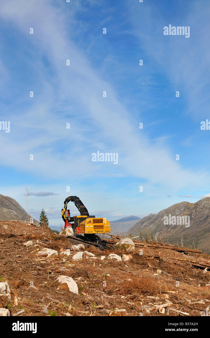 Baum, holzernte Maschine im Nordwesten von Schottland. Stockfoto