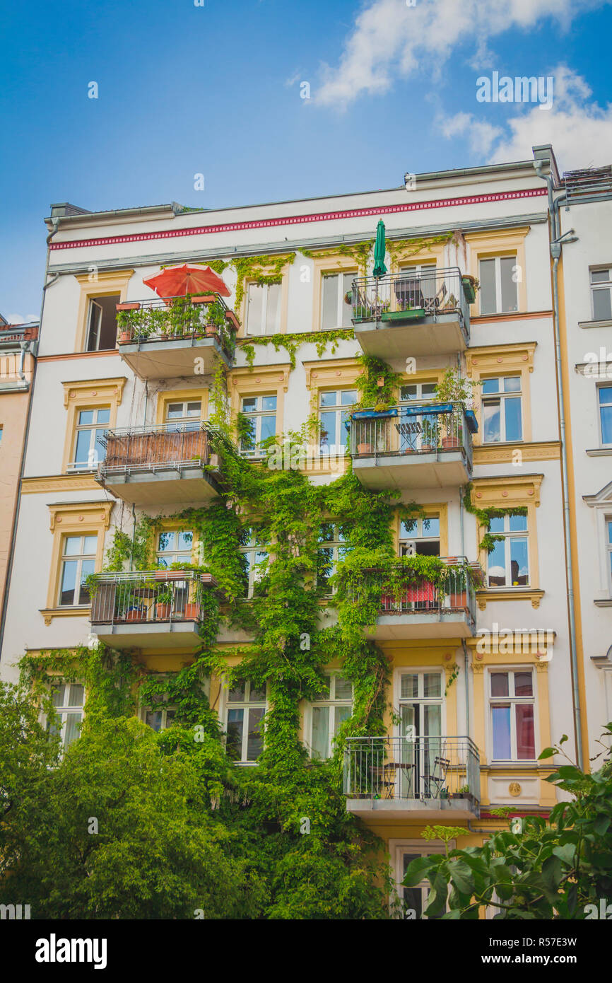 Mehrfamilienhaus mit grünem Efeu Pflanze abgedeckt Stockfoto