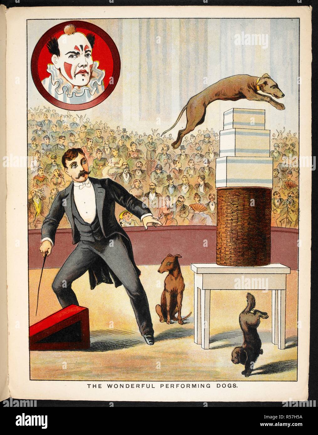 "Die wunderbare Durchführung Hunde. Eine Tat, die Hunde in eine Manege. Der Zirkus Buch. [Bilder für Kinder.]. G. Routledge & Söhne: [London; in Holland, 1890 Lithographiert.]. Quelle: 12807.62 Seite 11. Sprache: Englisch. Autor: Anon. Stockfoto