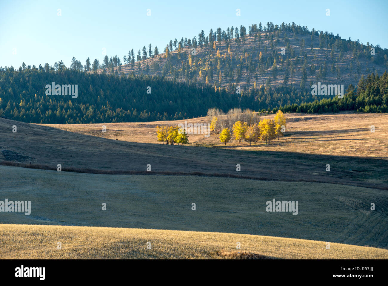 Okanogan Highlands, Washington. Stockfoto