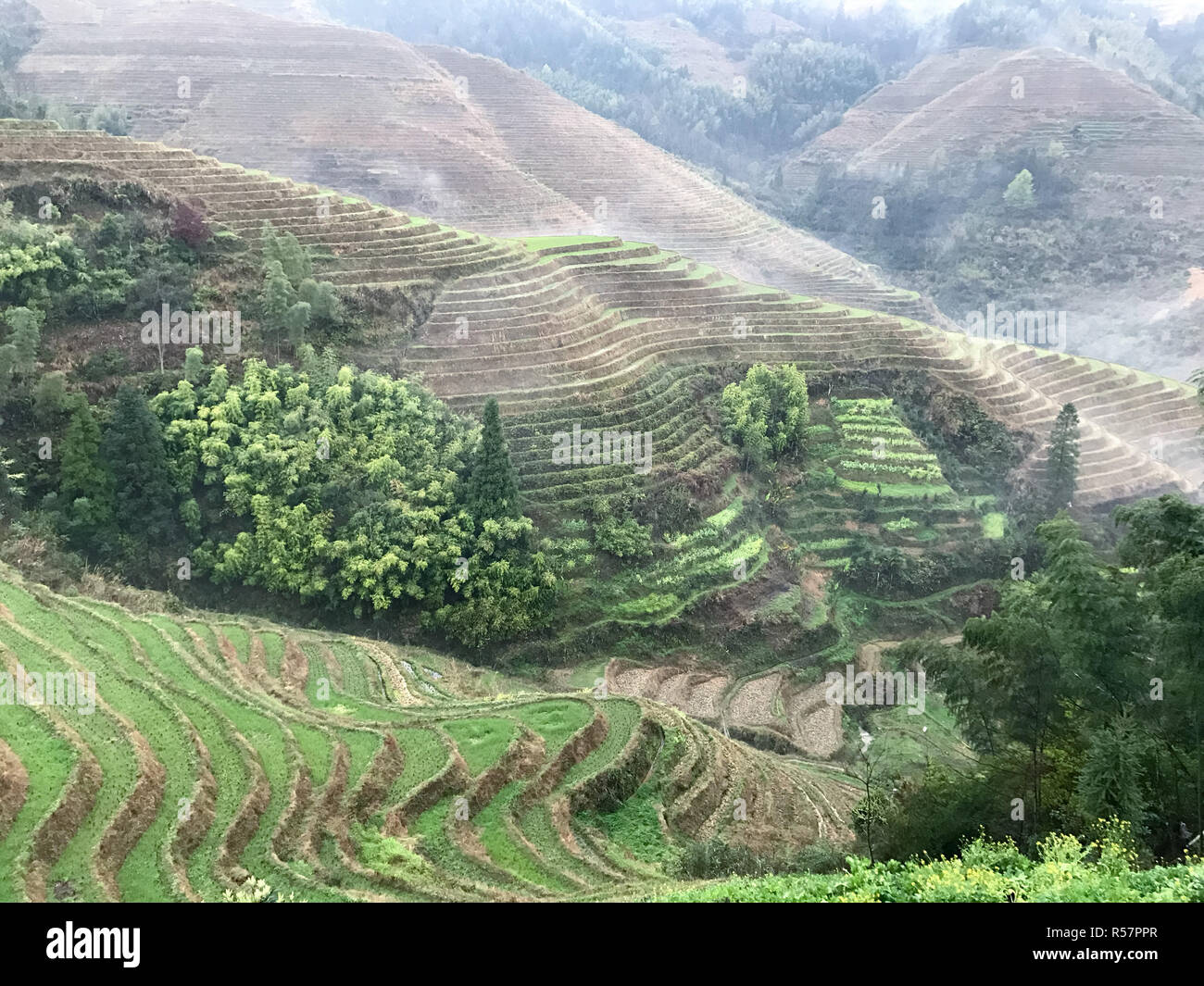 Oben Ansicht von Terrassierten fieilds vom View Point Stockfoto