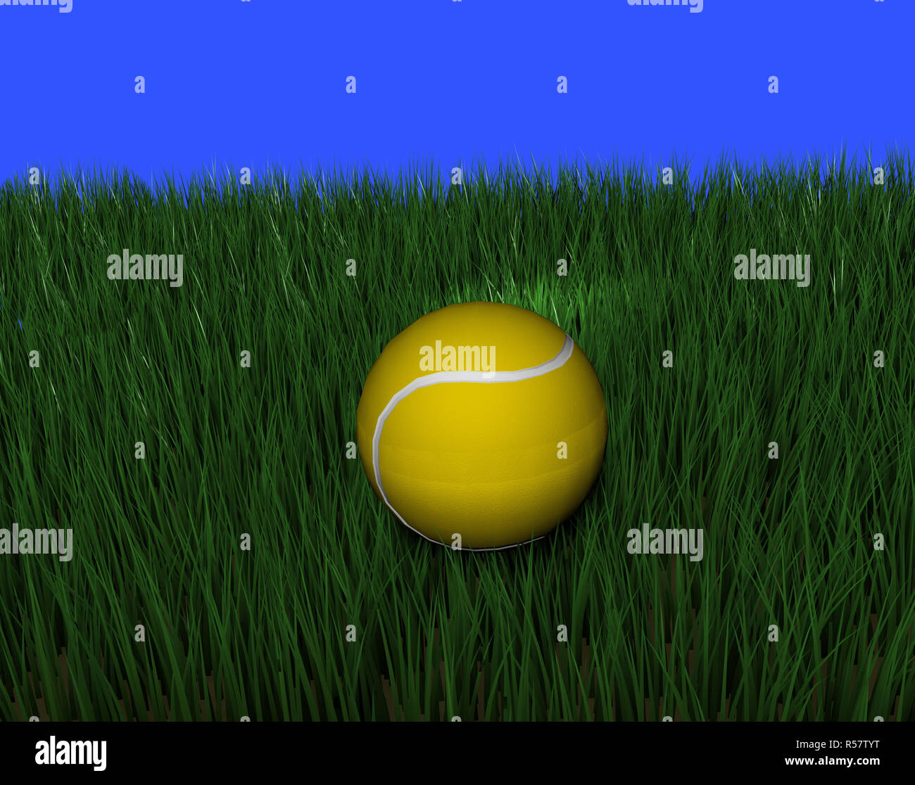 Tennis Ball auf dem Rasen Stockfoto
