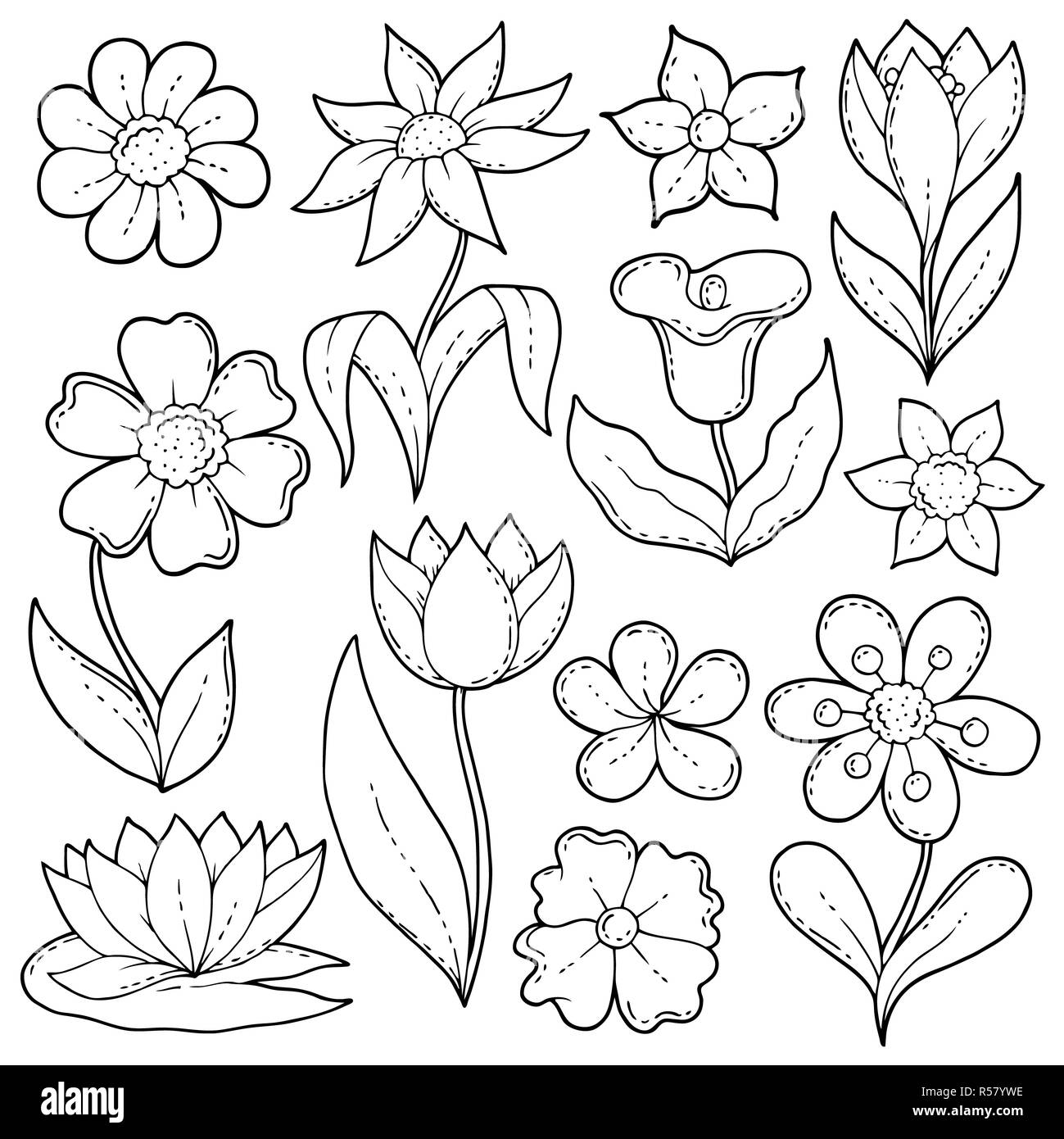 Blume Zeichnungen thematische Set 1 Stockfoto