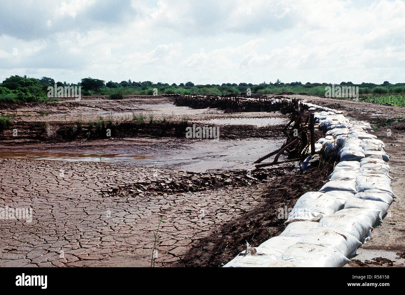 1993 - ein Damm gebaut von der belgischen Kontingent, Hochwasser in Kismayo. Die Belgier sind Teil der Vereinten Nationen in Somalia zur Unterstützung der Operation weiterhin Hoffnung. Stockfoto