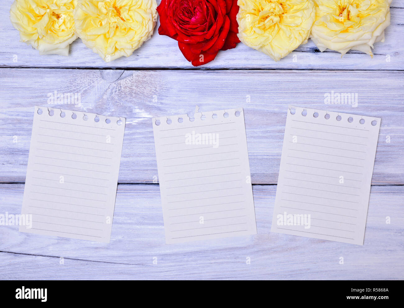 Drei leere Blatt Papier mit einem Notebook Stockfoto