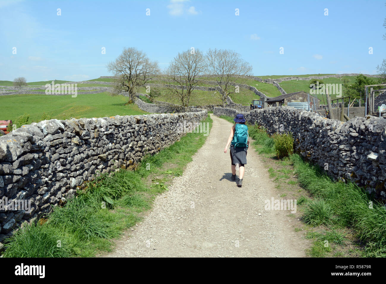 Eine junge weibliche Wanderer Spaziergänge entlang der Fußweg zwischen Steinmauern durch Ackerland auf die Yorkshire Dales, Northern England, Vereinigtes Königreich. Stockfoto