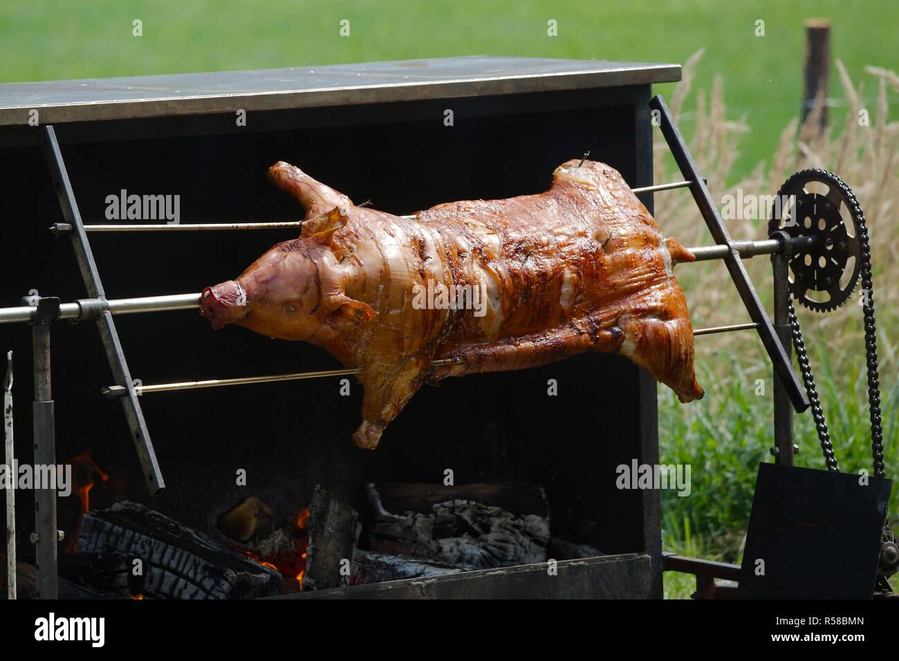 Fleisch über den Flammen Stockfoto