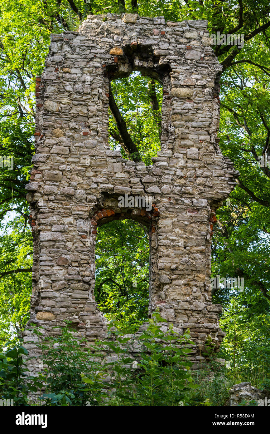 Stecklenburg brurgruine Harz Stockfoto