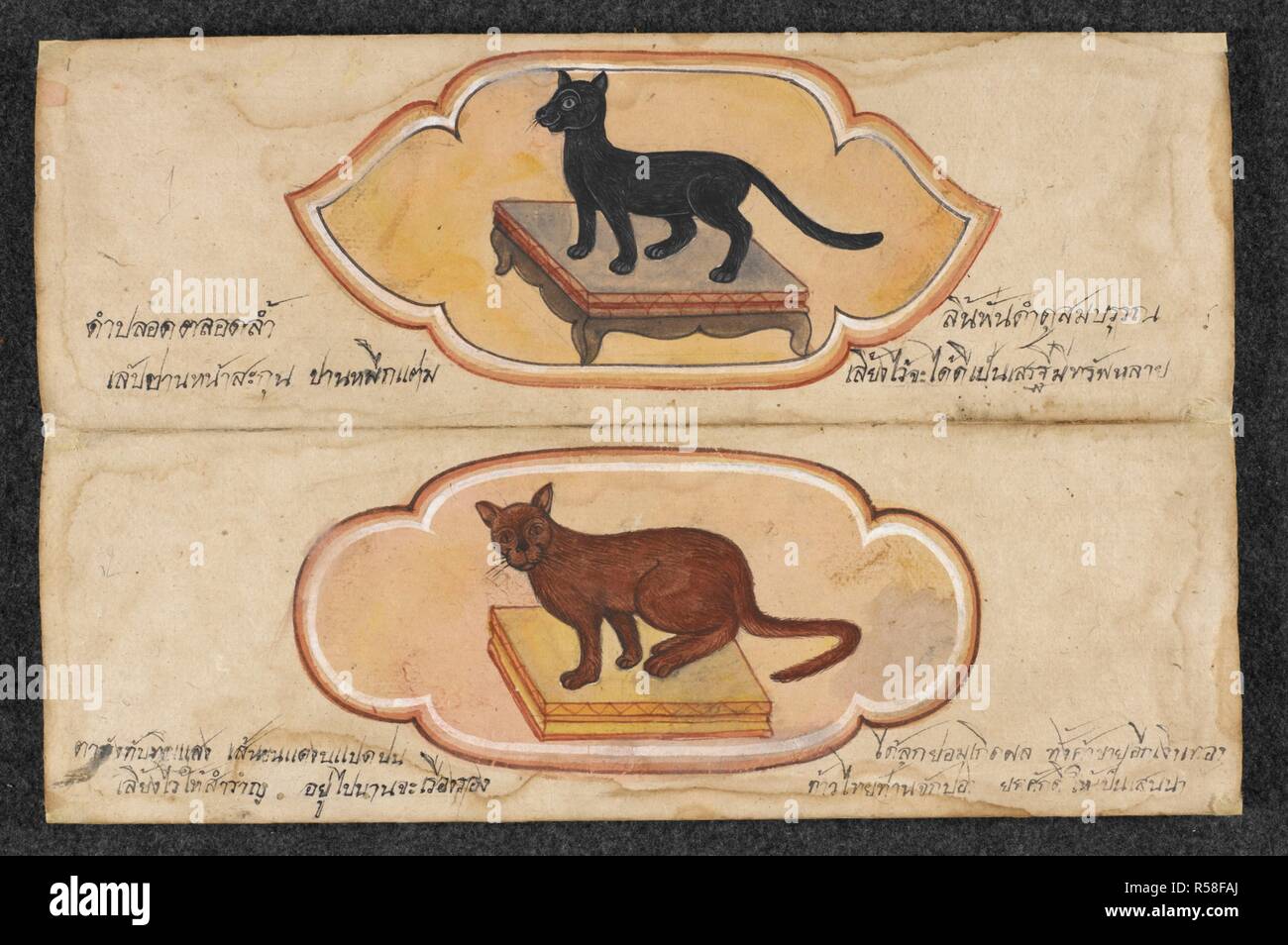 Siam Katzen. Cat Abhandlung. Zentralthailand, 19. Quelle: Oder. 16797, f 1. Sprache: Thai. Stockfoto