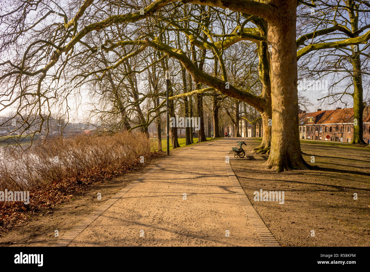 Belgien, Brügge, leeren Bank mit Blick auf den Kanal Stockfoto