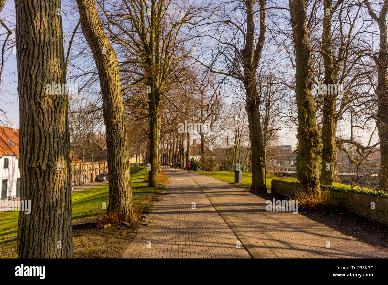 Belgien, Brügge, Wanderweg zwischen Bäumen Stockfoto