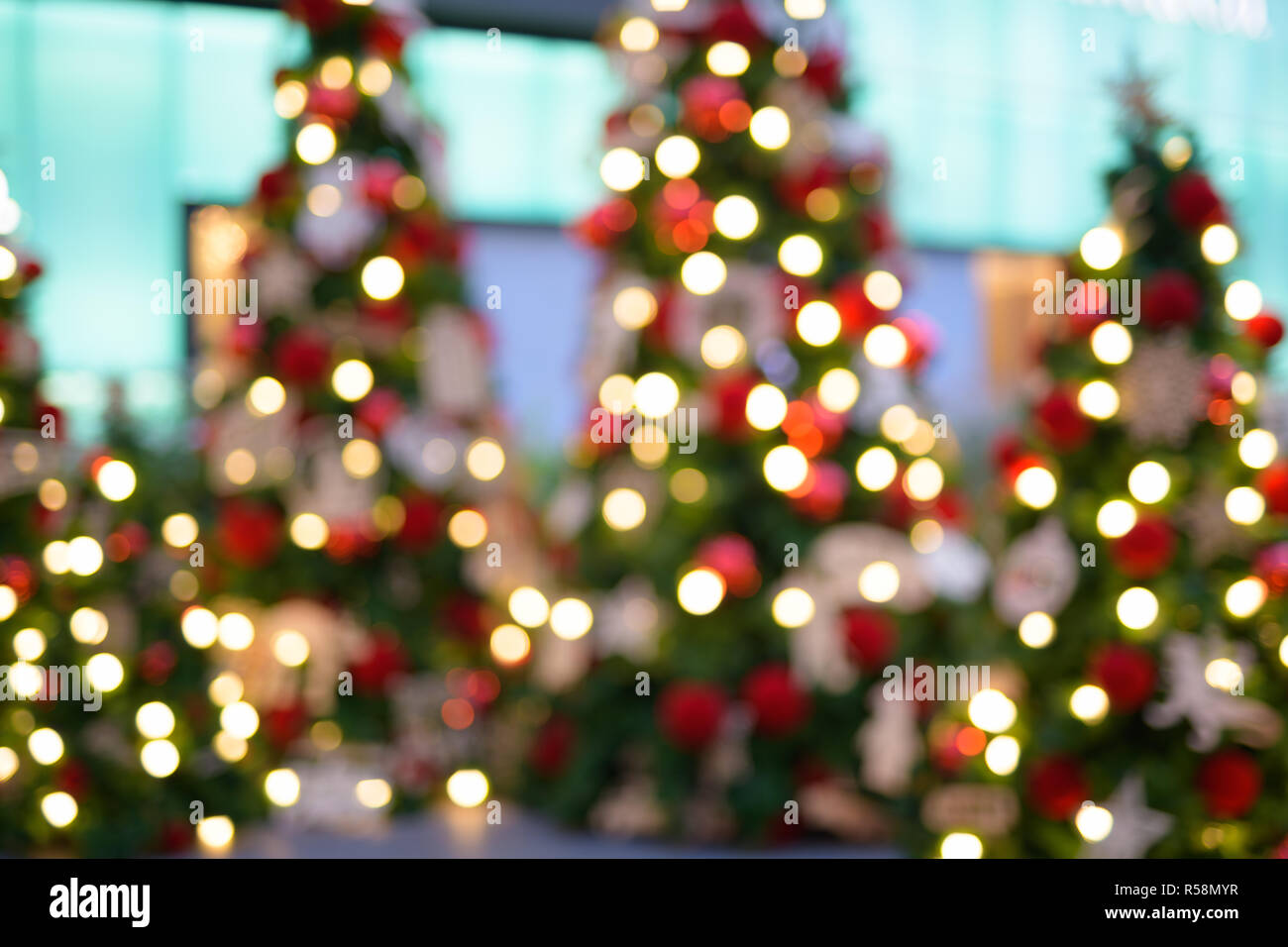 Verschwommen Weihnachtsbäume mit leuchtenden Lichter im Freien Stockfoto
