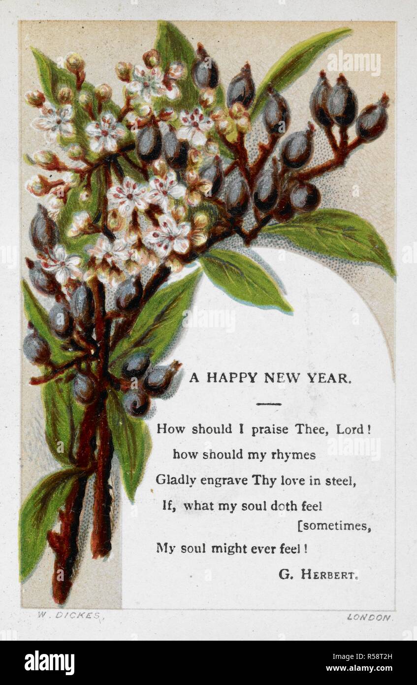 Neujahrsgrüße Karte mit Blumenschmuck und Gedicht von G. Herbert. Karten für das Neue Jahr. [Beleuchtet.]. London: Gesellschaft zur Förderung des christlichen Wissen, [1874]. Einen guten Rutsch ins neue Jahr: Wie sollte ich preise Dich, Herr! Wie sollte meine Reime gerne gravieren Deine Liebe in Stahl, wenn, was meine Seele erhebt manchmal das Gefühl, meine Seele überhaupt fühlen könnte. Quelle:4409.de 23. Platte 6. Autor: Anon. Dickes, W. Stockfoto