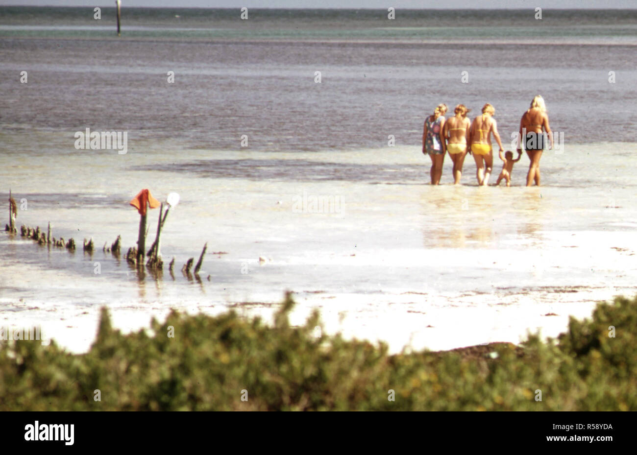 Touristen am öffentlichen Strand in der Nähe von Langen Schlüssel in der zentralen Florida Keys Ca. 1975 Stockfoto