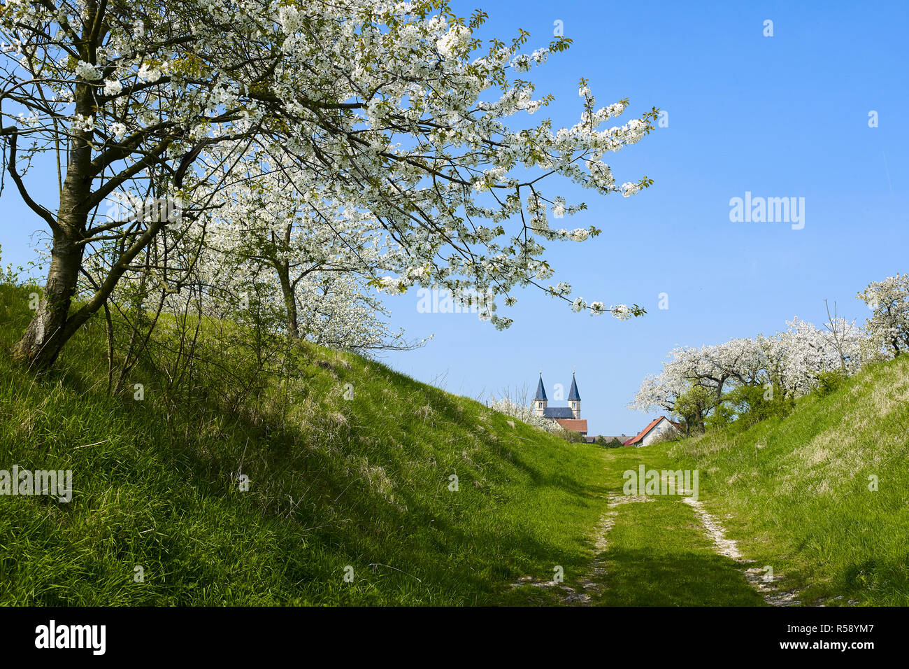 Romanische Basilika St. Gangolf in Münchenlohra zur Villa Alice, LK Nordhausen, Thüringen, Deutschland Stockfoto