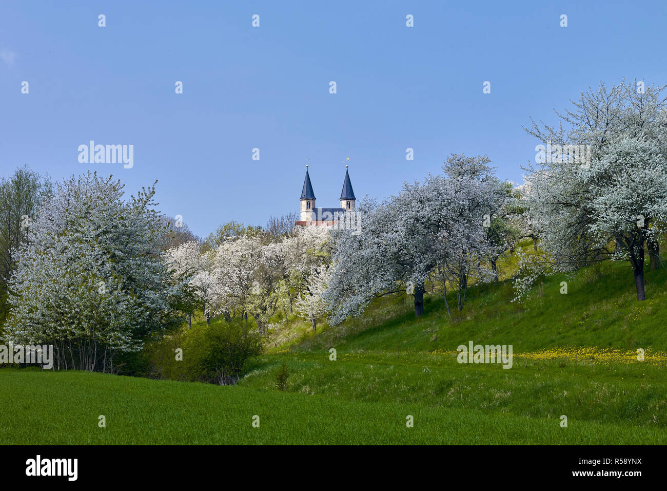 Romanische Basilika St. Gangolf in Münchenlohra zur Villa Alice, LK Nordhausen, Thüringen, Deutschland Stockfoto