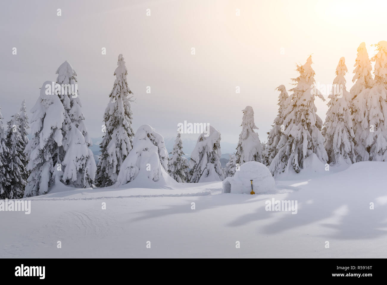 Echten schneeiglu Haus im Winter Karpaten. Verschneite Tannen auf dem Hintergrund Stockfoto