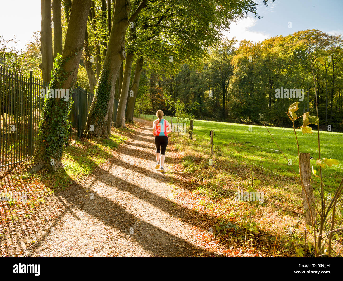 Joggen im Wald. Herbst Wald Landschaft, Aachen, Deutschland. Stockfoto