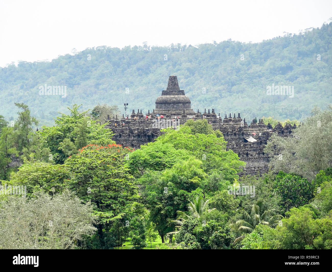 Borobudur in Java Stockfoto