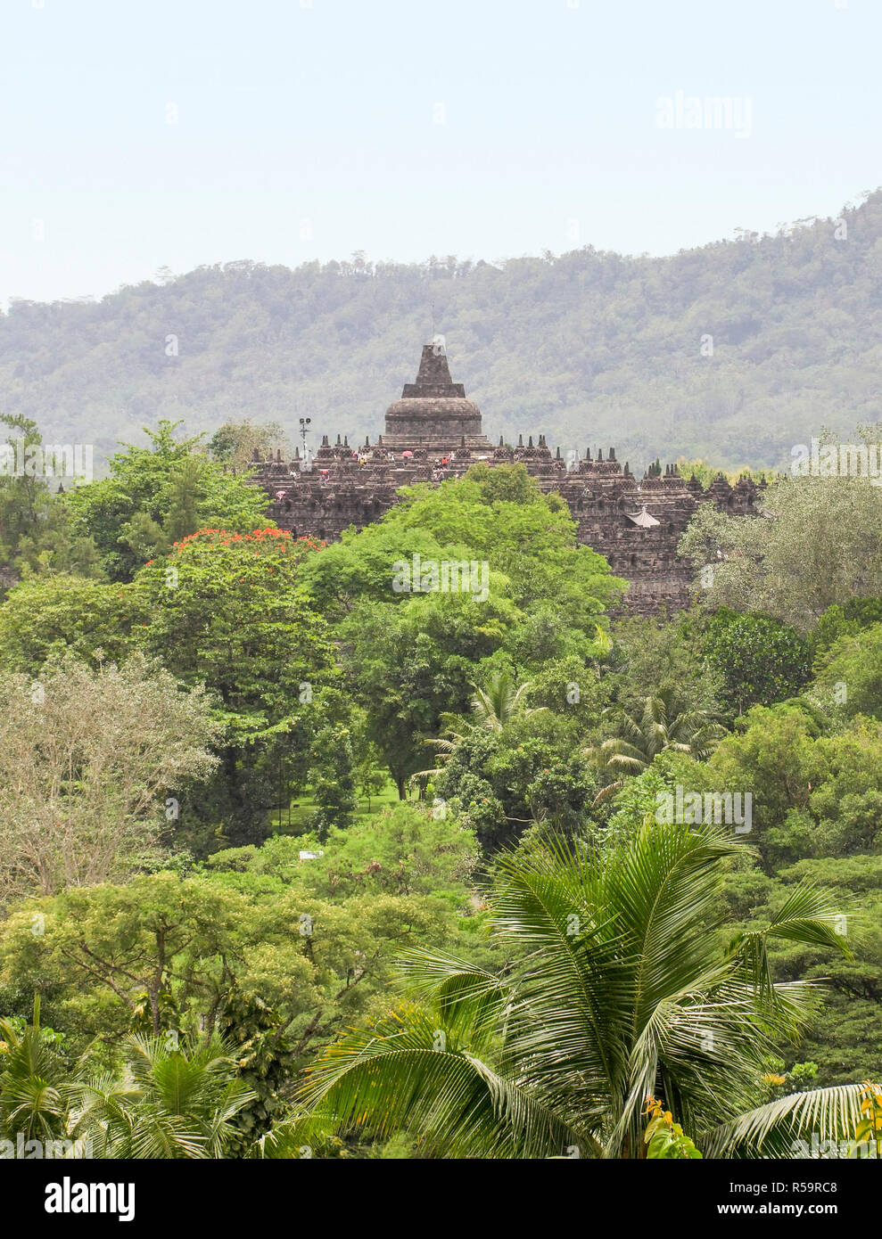 Borobudur in Java Stockfoto