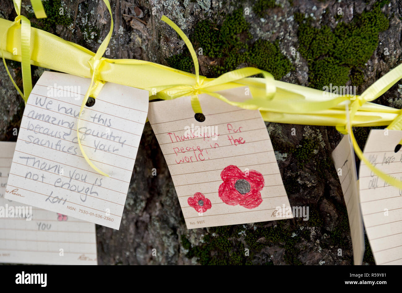 Herzlichen handschriftliche Nachrichten für Veteranen, die gelben Bänder an Bäume gebunden. Teil der Erinnerung Tag der Einhaltung in Coquitlam, BC, Kanada Stockfoto